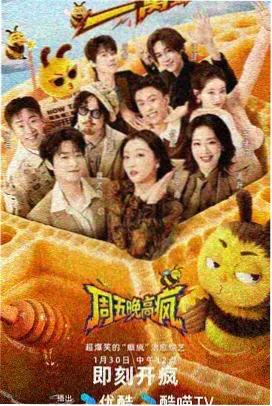 声音的荒野 音乐综艺